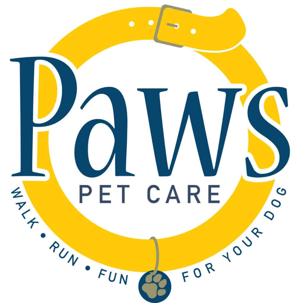 paws pet care margate dog walker