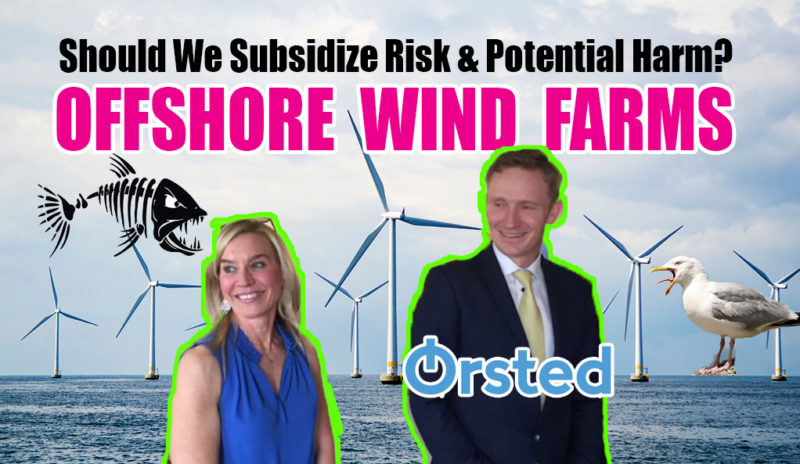 Orsted. Offshore Wind Farms