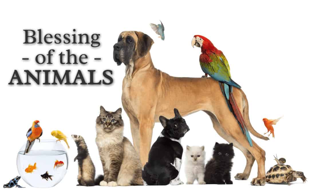 margate blessing of animals