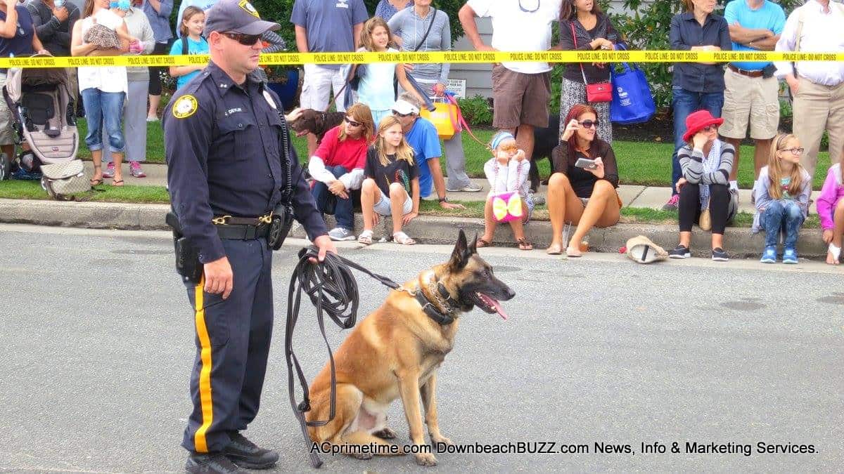 Ventnor Atlantic City K9 police dogs