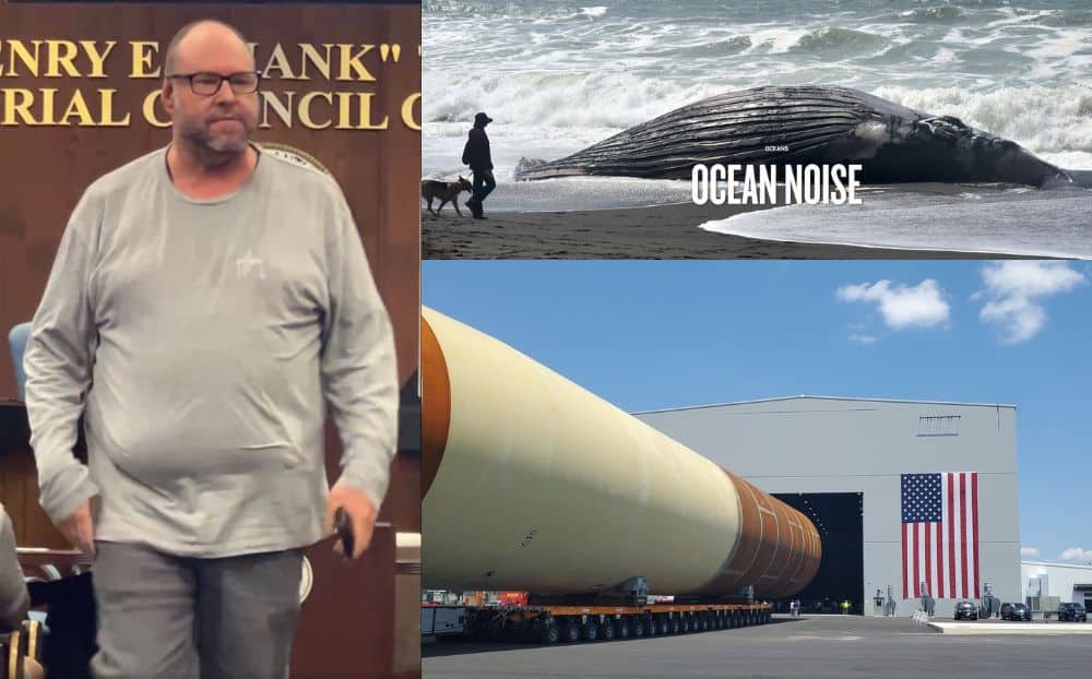 Atlantic City Wind Turbines Kill Whales