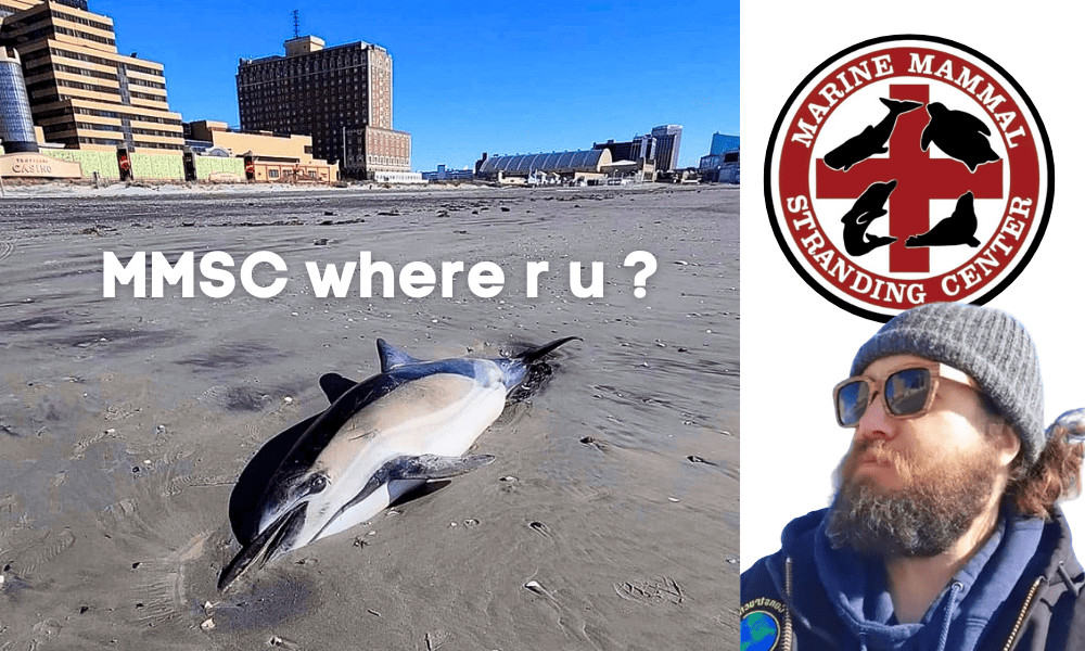 Marine Mammal Stranding Center Wind Turbine Fraud