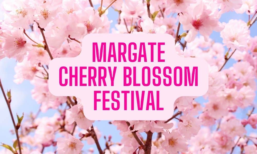 2024 margate cherry blossom festival
